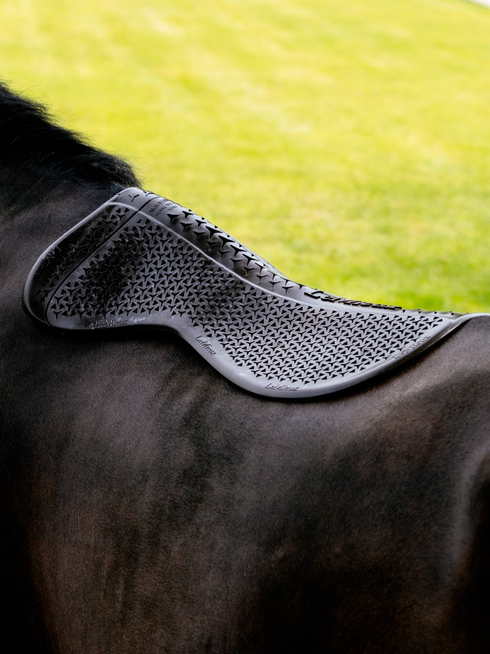 LeMieux Gel-Tek Shaped Half Pad
