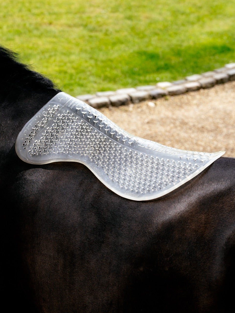 LeMieux Gel-Tek Shaped Half Pad