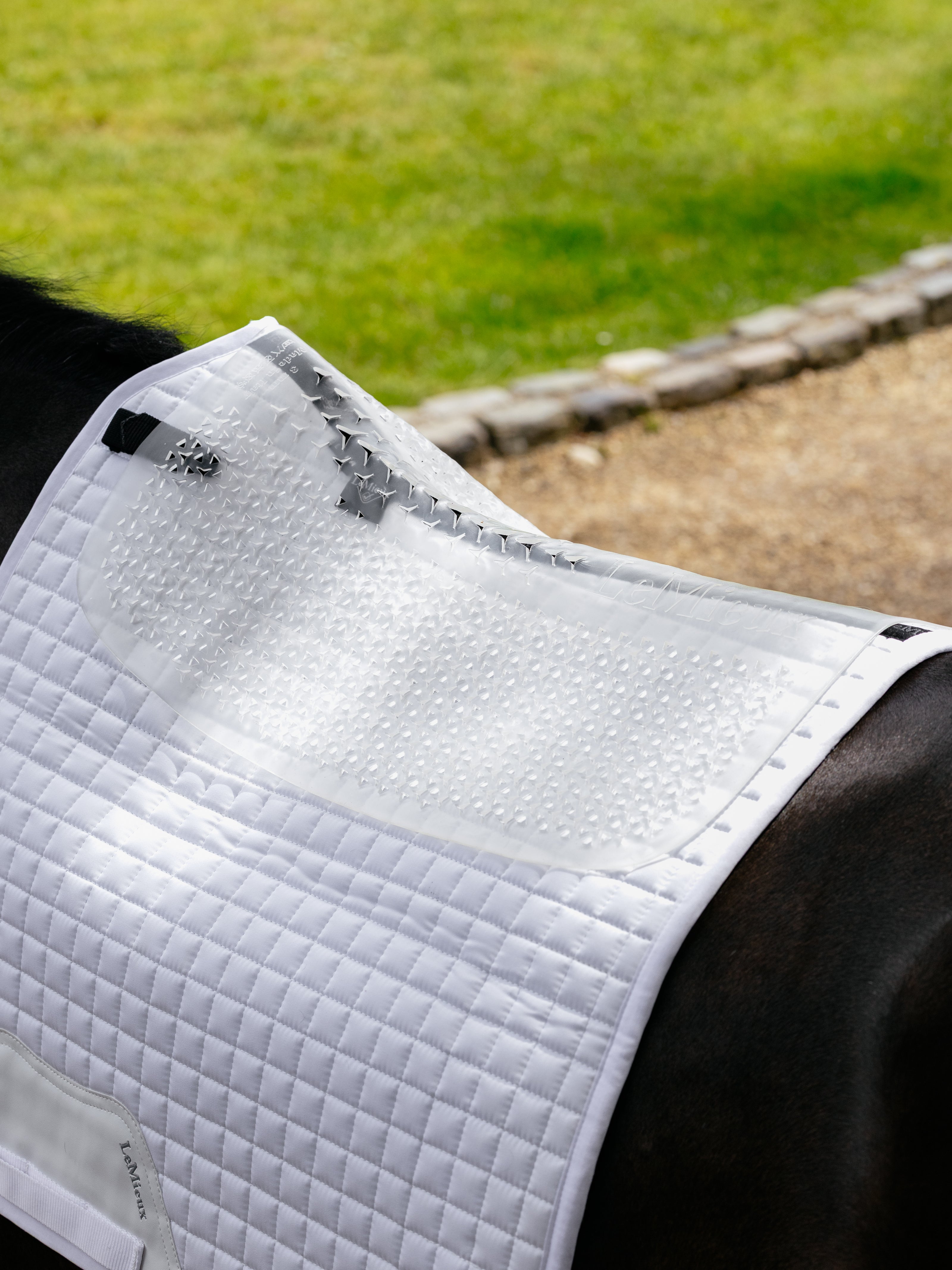 LeMieux Gel-Tek Slimline Half Pad