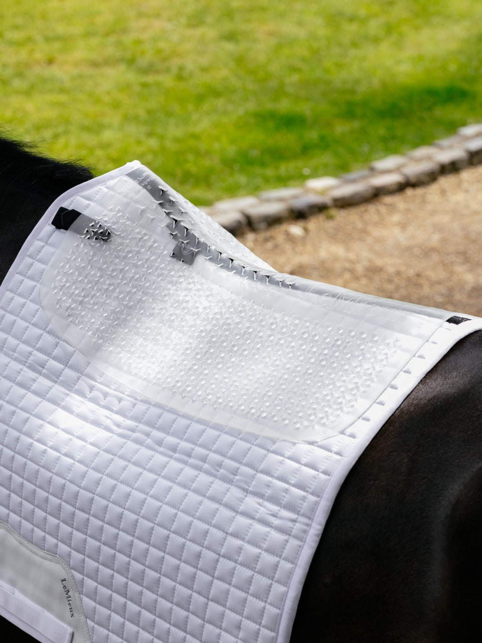 LeMieux Gel-Tek Slimline Half Pad