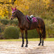 LeMieux Loire Classic Zadeldek AW26