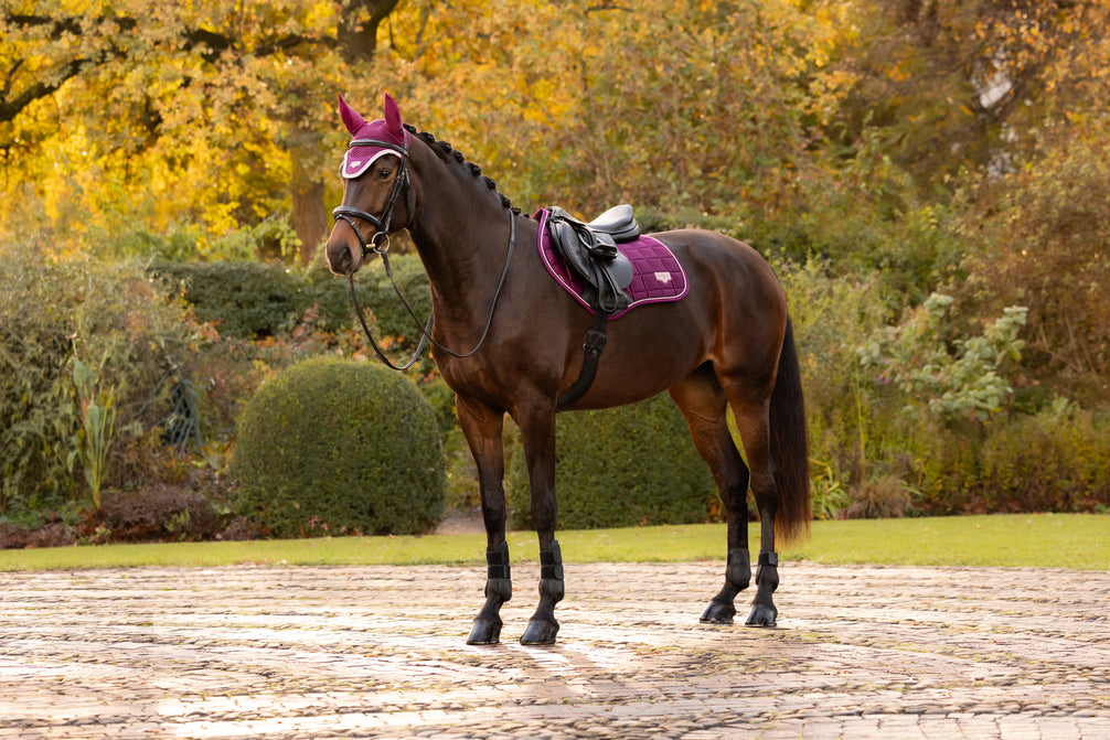 LeMieux Loire Classic Zadeldek AW26