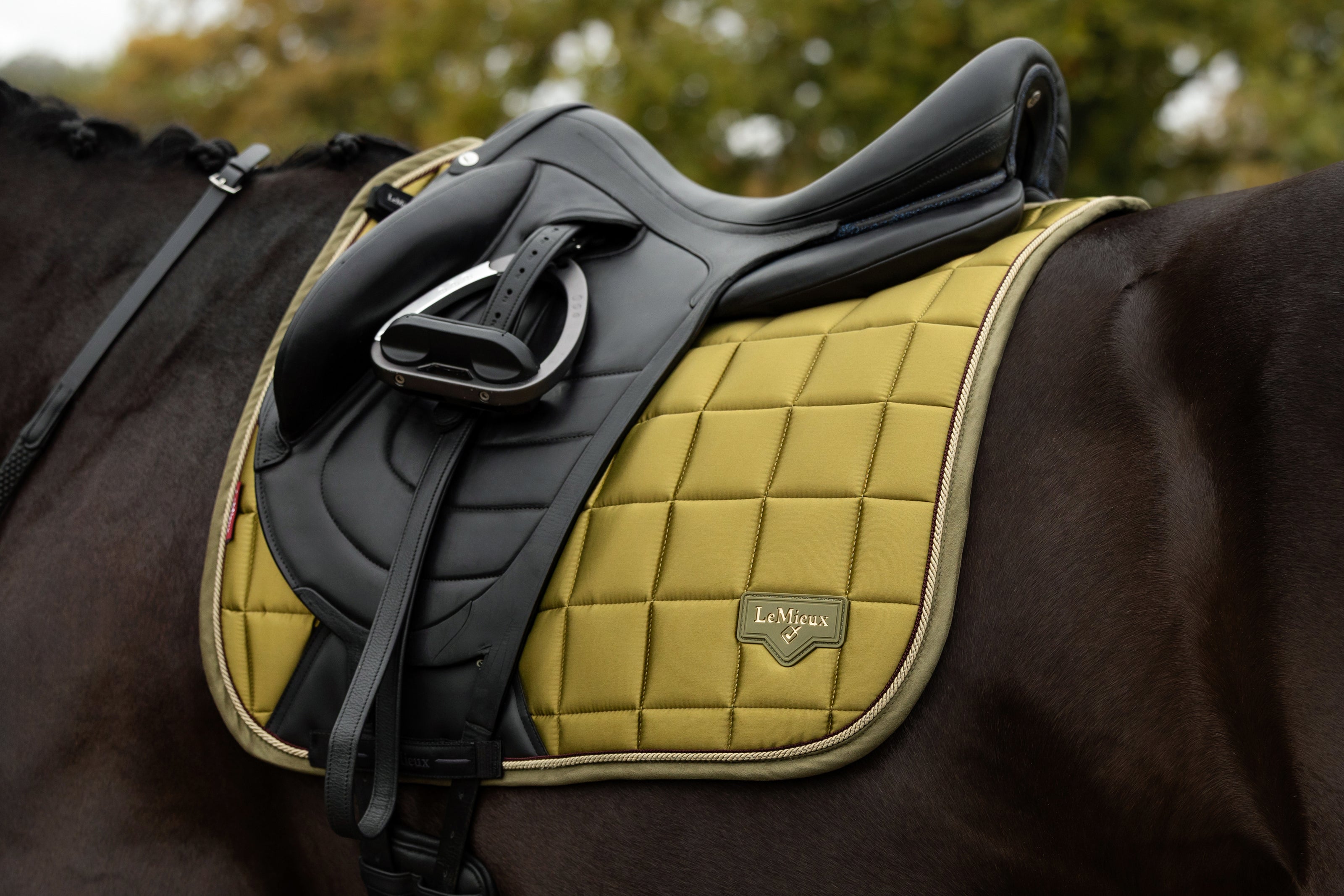 LeMieux Loire Classic Zadeldek AW26
