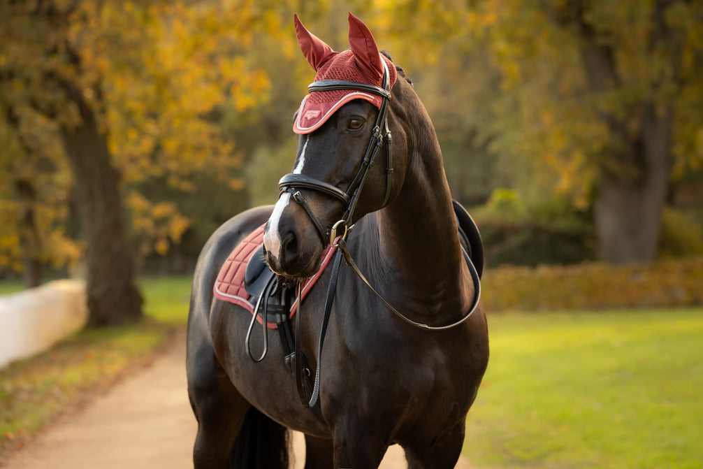 LeMieux Loire Oornetje AW26