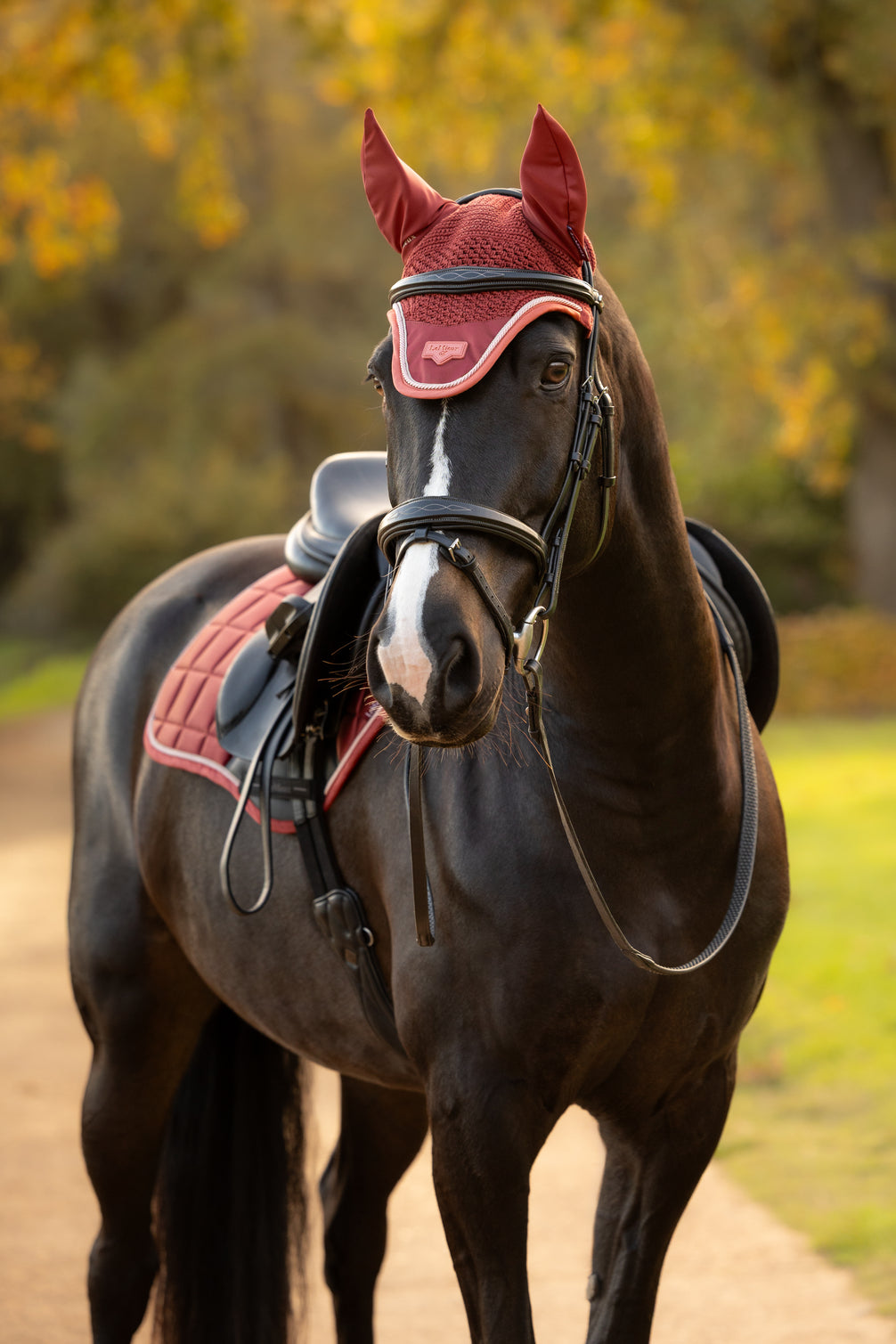 LeMieux Loire Oornetje AW26