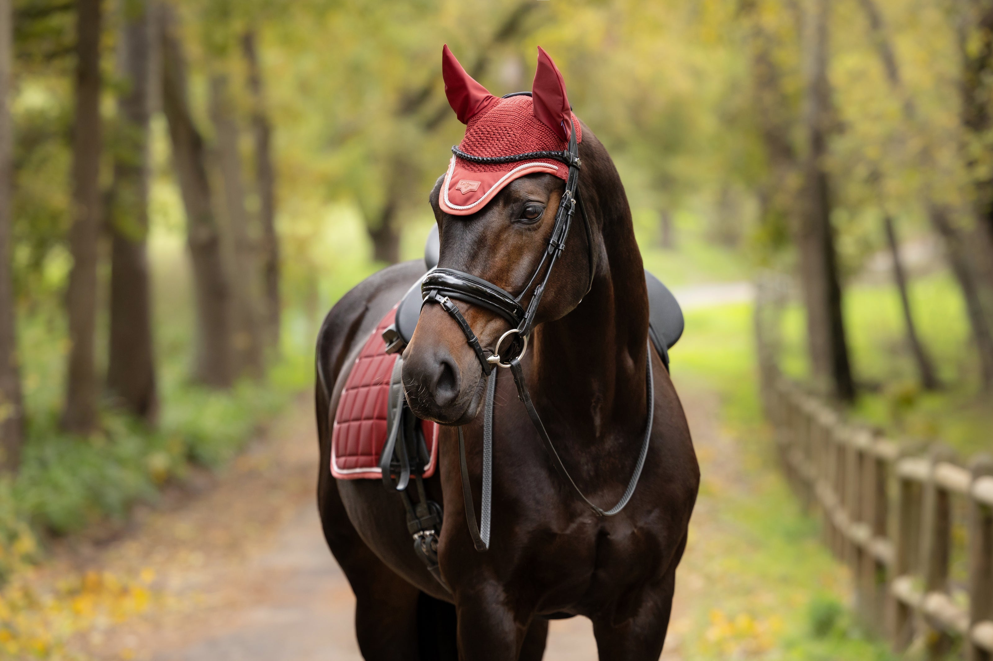 LeMieux Loire Oornetje AW26