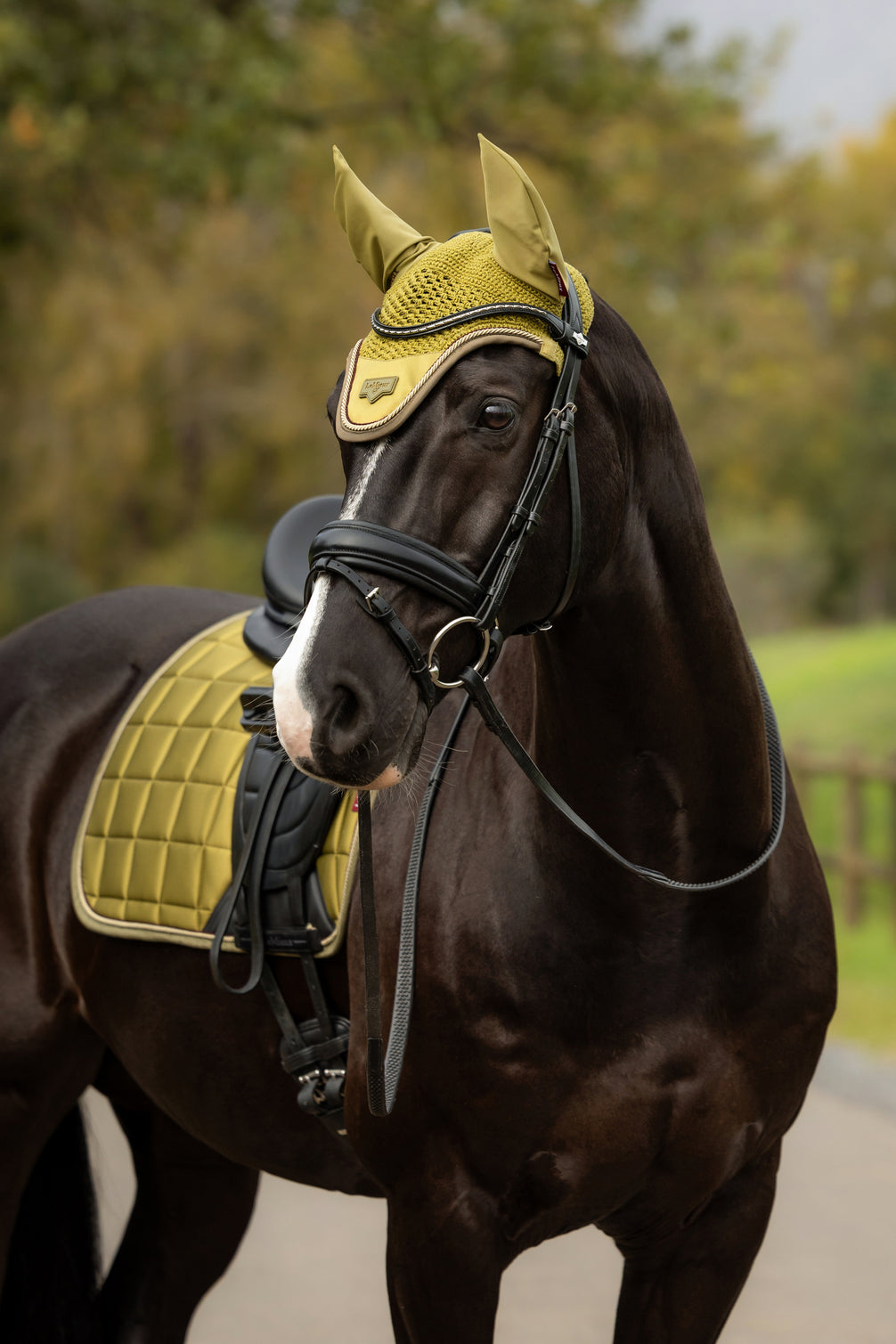 LeMieux Loire Oornetje AW26