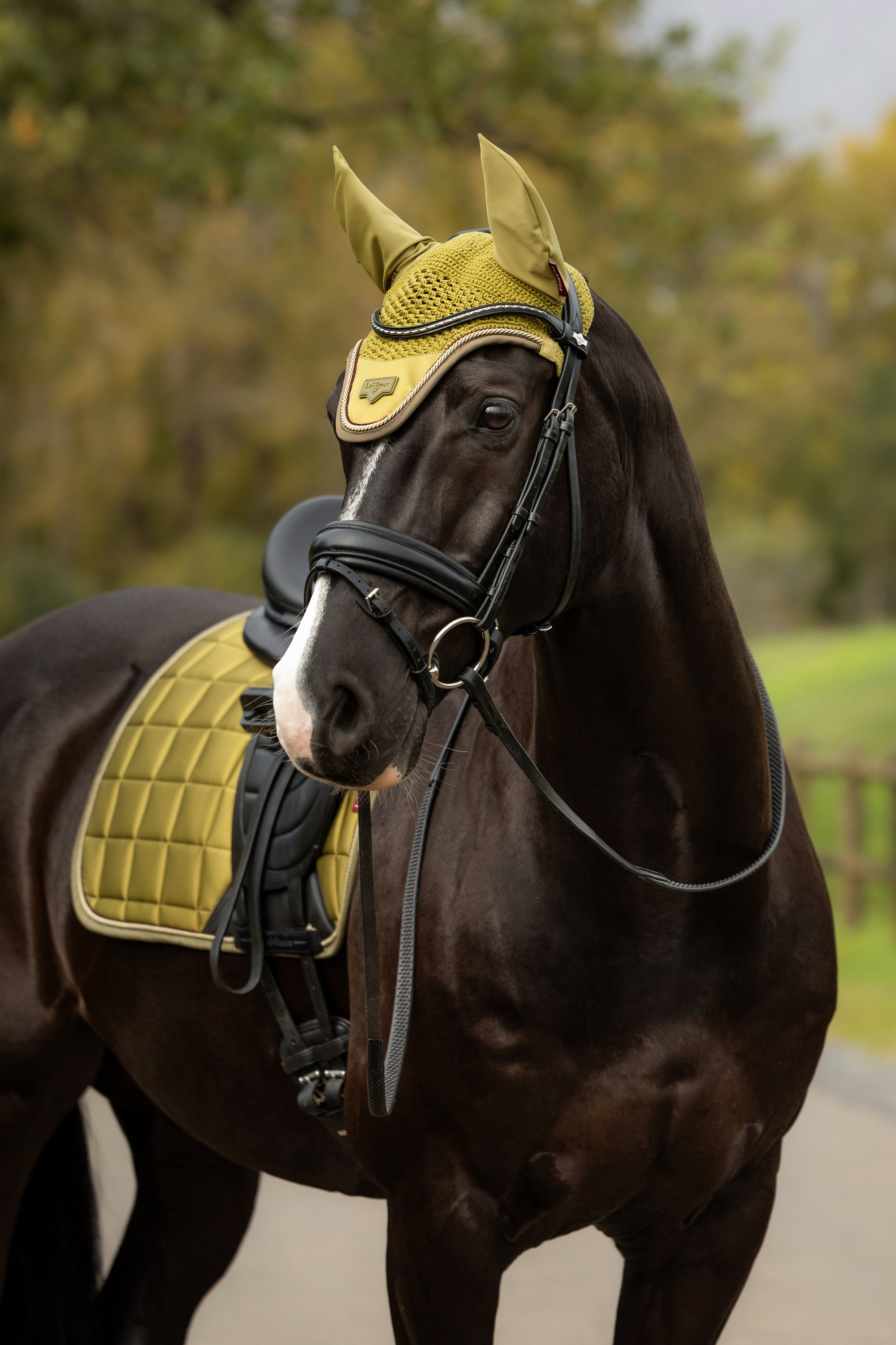 LeMieux Loire Oornetje AW26