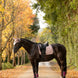LeMieux Essence Zadeldek AW26