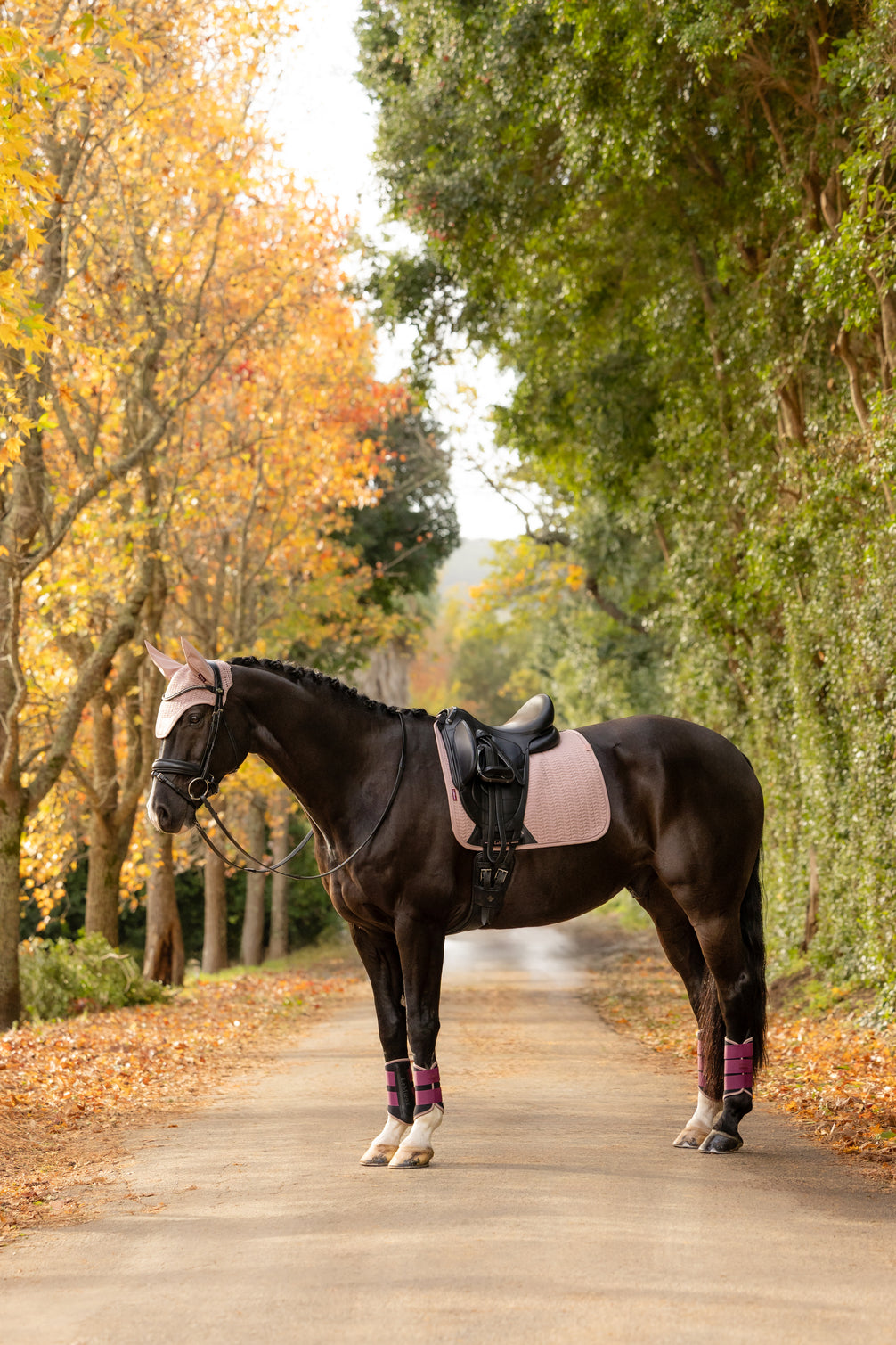 LeMieux Essence Zadeldek AW26