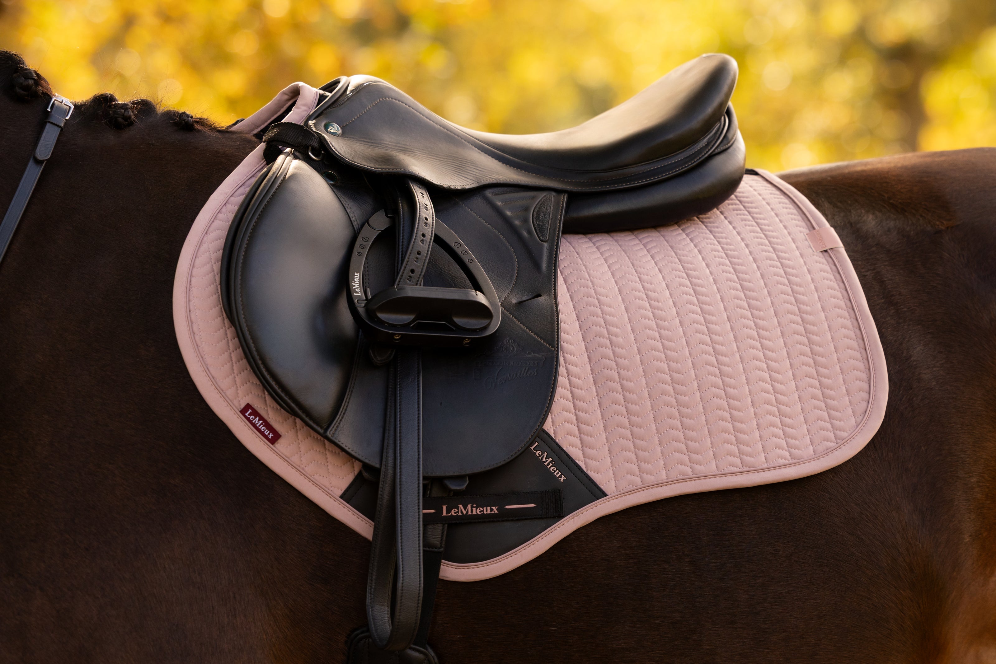 LeMieux Essence Zadeldek AW26