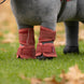 LeMieux Toy Pony Mesh Beenbeschermers