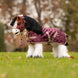 LeMieux Toy Pony Printed Ripstop deken
