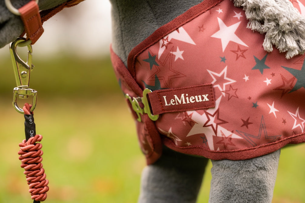 LeMieux Toy Pony Printed Turnout deken
