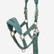 LeMieux Breakaway Vogue Halster met Halstertouw AW26