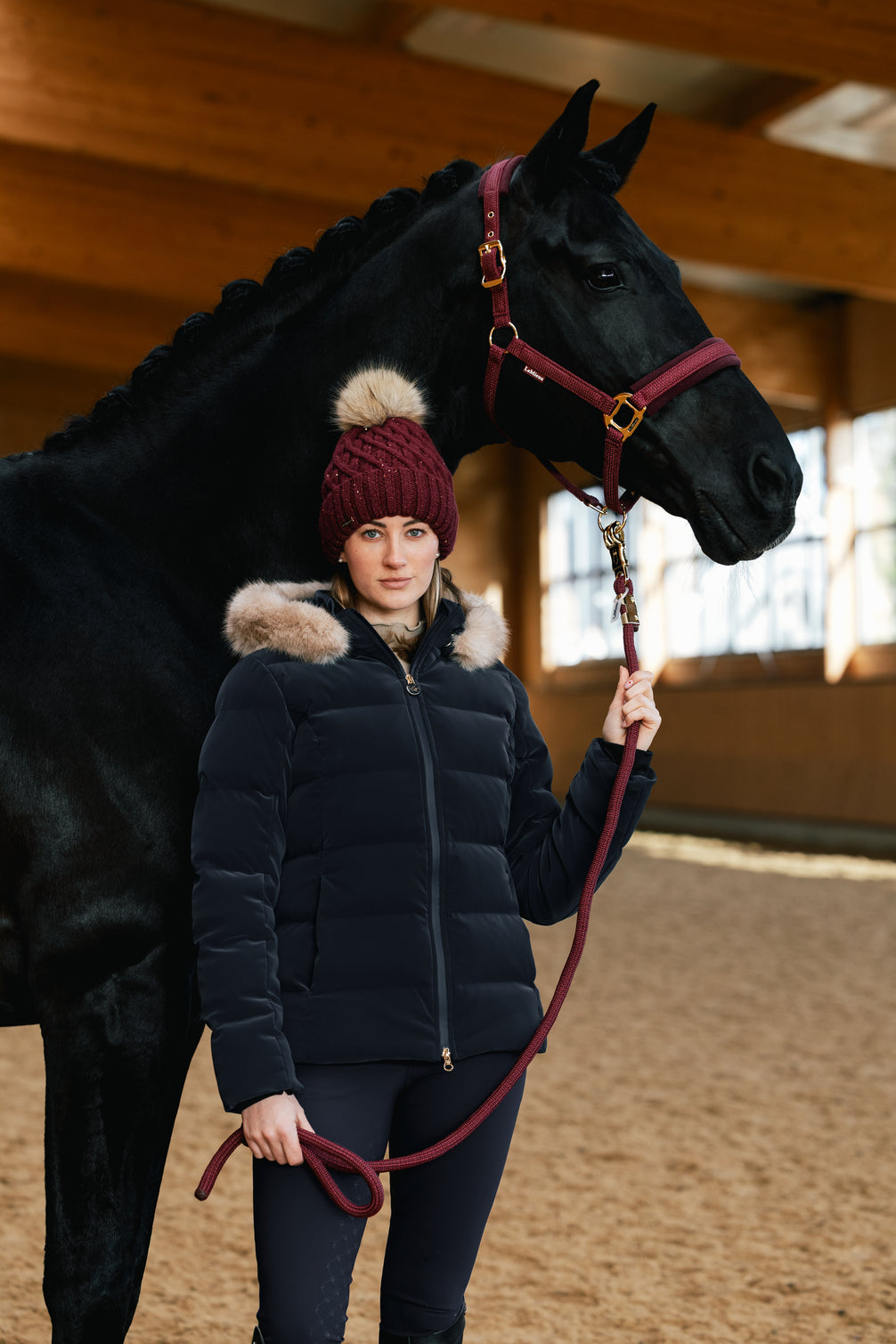 LeMieux Lustre Halster
