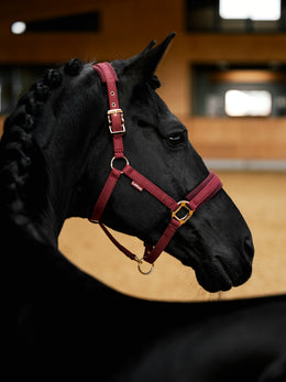 LeMieux Lustre Halster