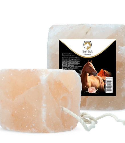 Holland Animal Care Liksteen Himalaya