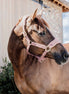 Kentucky Teddy Fleece Halster