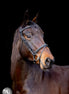 LJ Leathers Pro Selected Hoofdstel Heritage