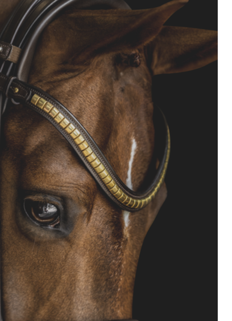 Utzon Olympic Bridle Brass Browband With Clinchers Full