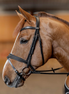 HFI Hoofdstel  Padded