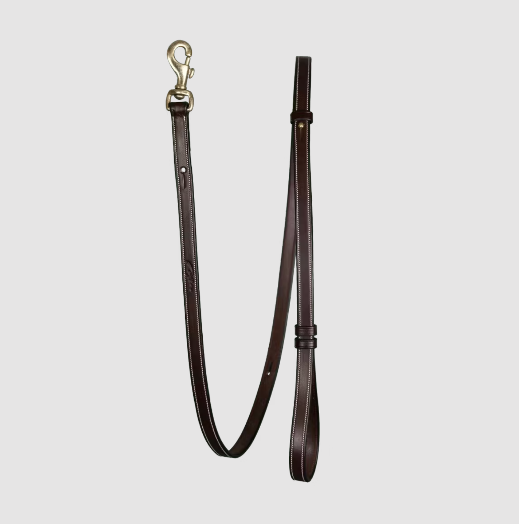 Dy'on Adjustable Dog Leash Bruin