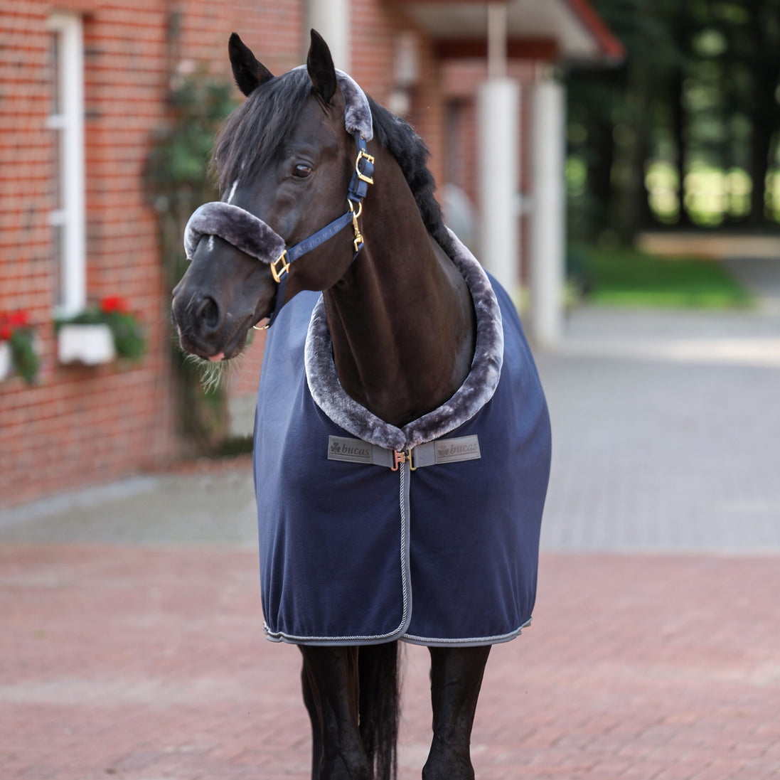 Bucas Show-Line Fleece Showdeken