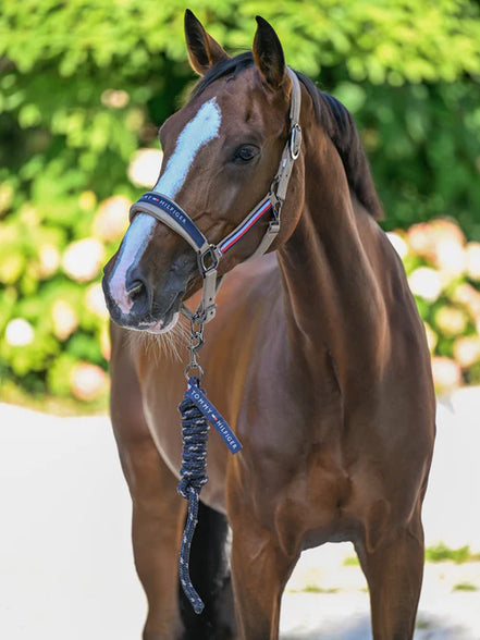 Tommy Hilfiger Equestrian Yale Set Lead Rope