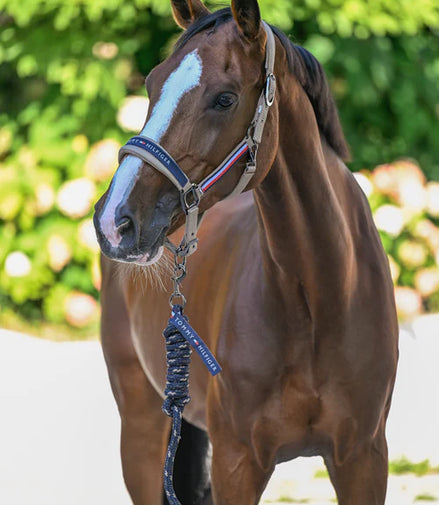 Tommy Hilfiger Equestrian Yale Set Halstertouw