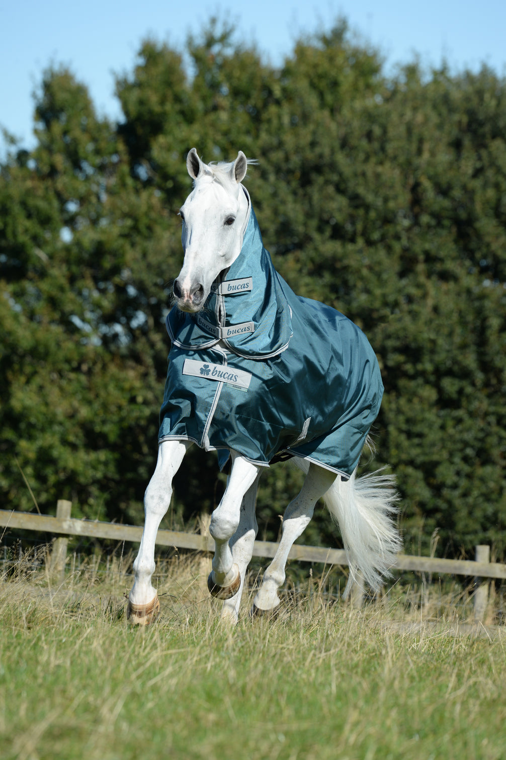 Bucas Atlantic Turnout Atlantic Green met halsstuk
