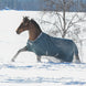 Bucas Atlantic Turnout Atlantic Green op een paard in de sneeuw