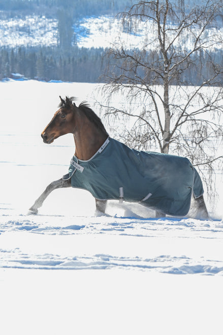 Bucas Atlantic Turnout Atlantic Green op een paard in de sneeuw