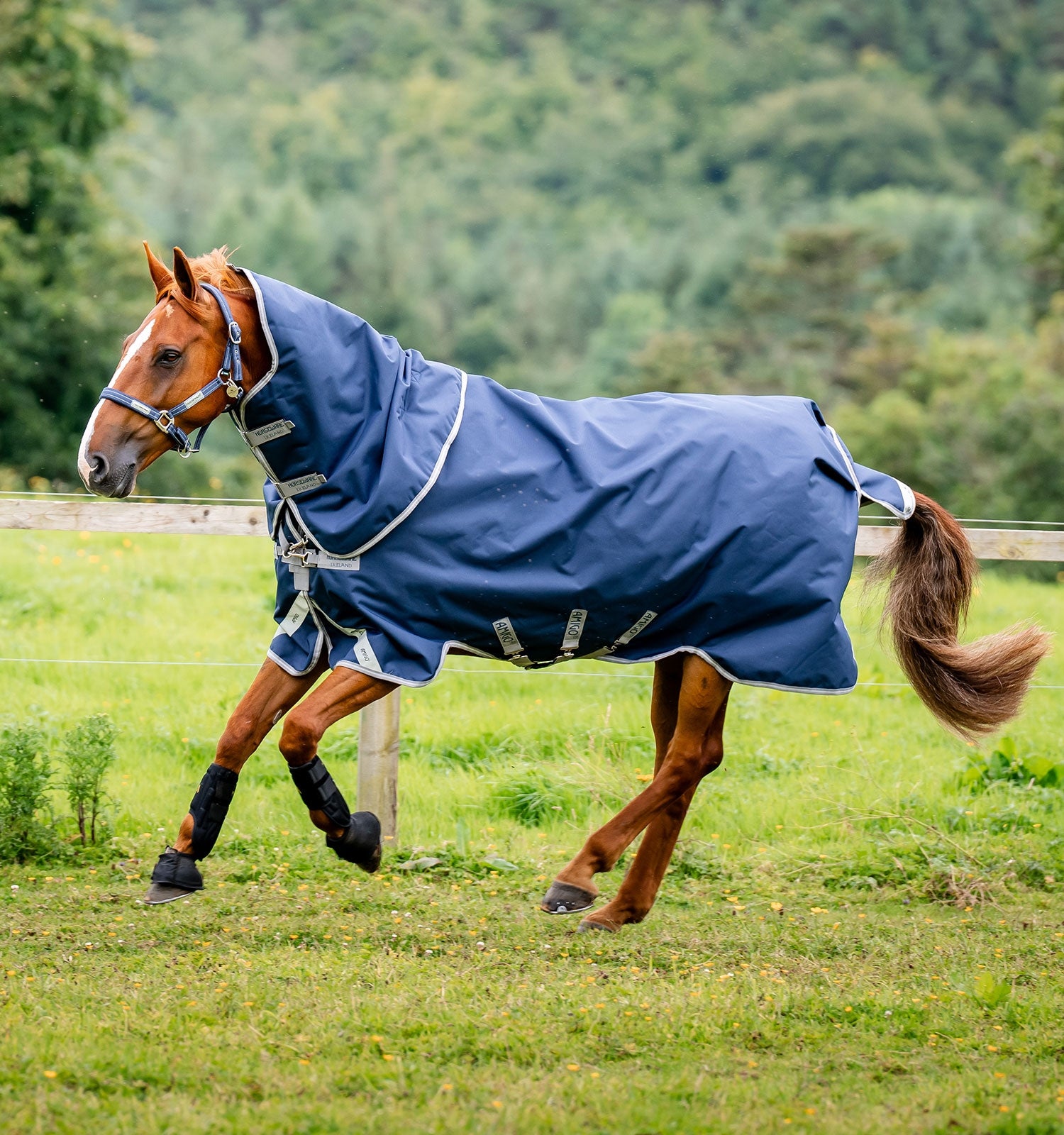 Horseware Amigo 1200D Plus Turnout Deken