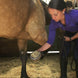 Absorbine Magic Cushion Hoof Packing Hoefverzorging - Maddelin Equestrian Absorbine