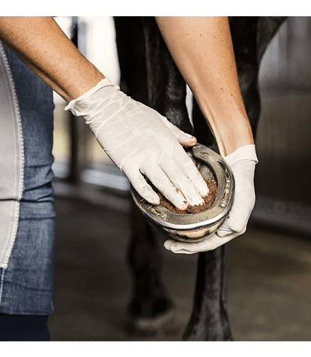 Absorbine Magic Cushion Hoof Packing Hoefverzorging - Maddelin Equestrian Absorbine