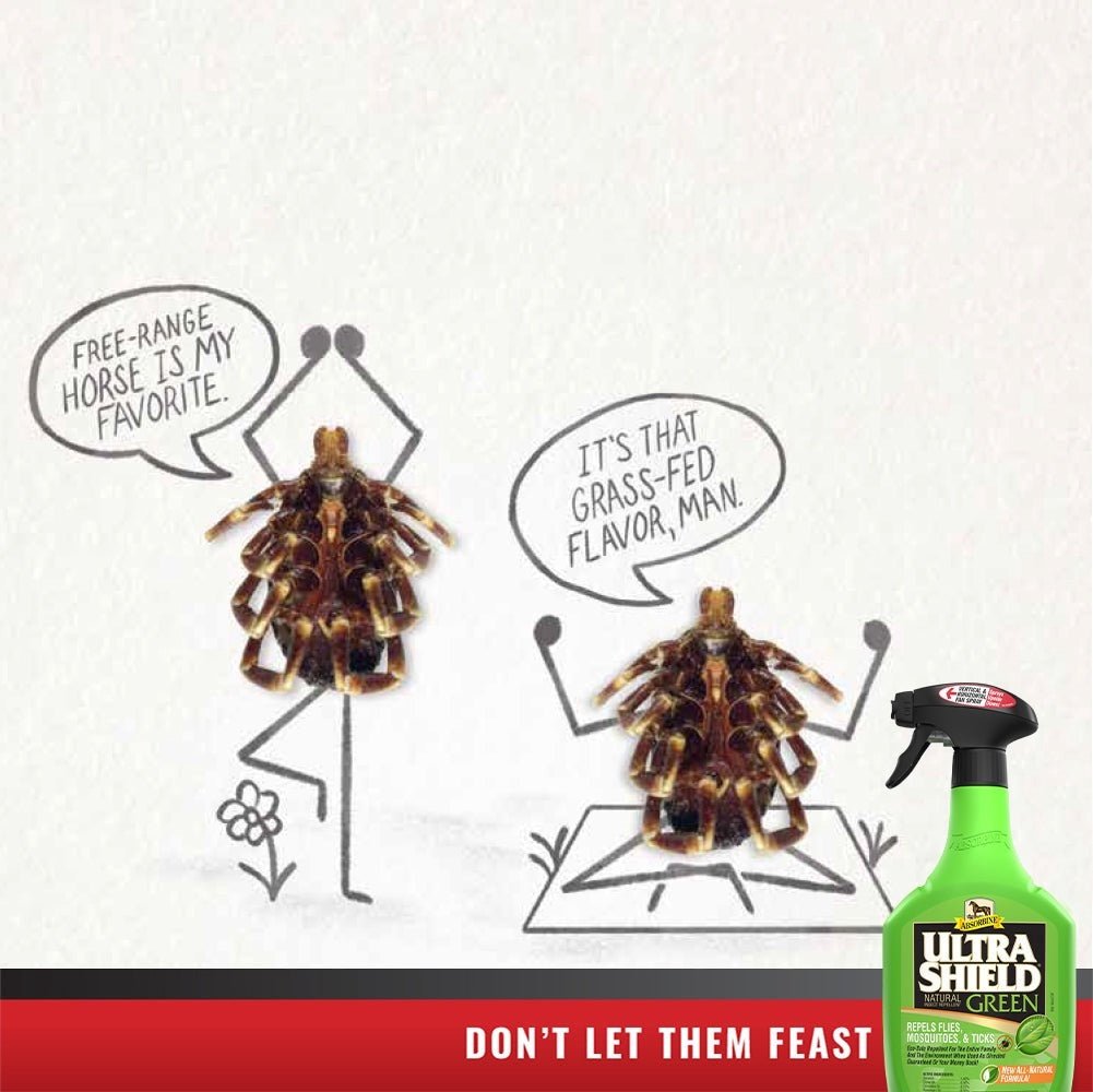 Absorbine Ultra Shield Green 946 ml Vliegen & eczeem - Maddelin Equestrian Absorbine