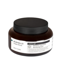 Acavallo Arnica 90 met menthol Verzorgingsproducten - Maddelin Equestrian Acavallo