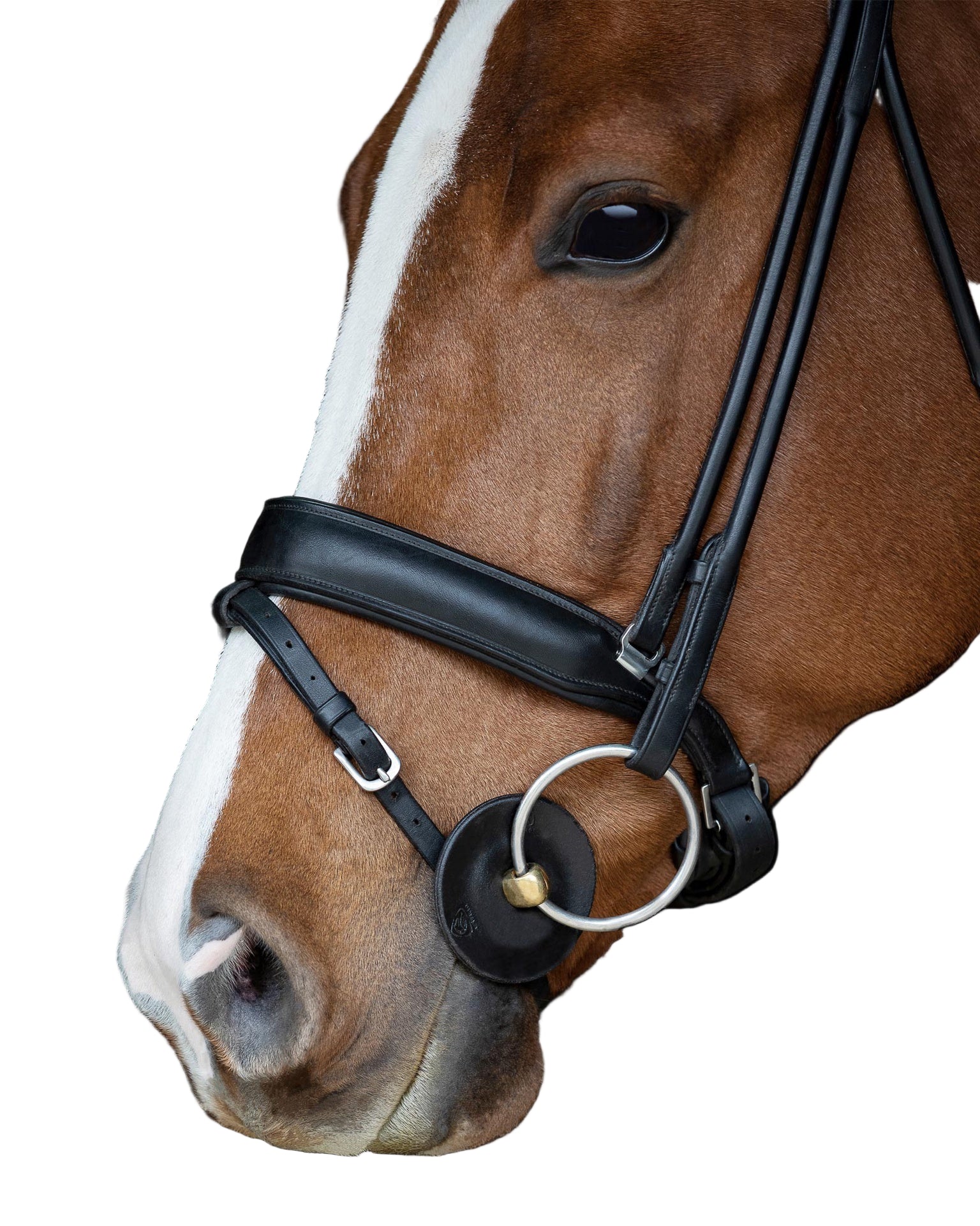Acavallo Bitringen Voorgevormd Classic Gel Toebehoren bitten - Maddelin Equestrian Acavallo