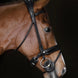 Acavallo Gel Bitringen Toebehoren bitten - Maddelin Equestrian Acavallo