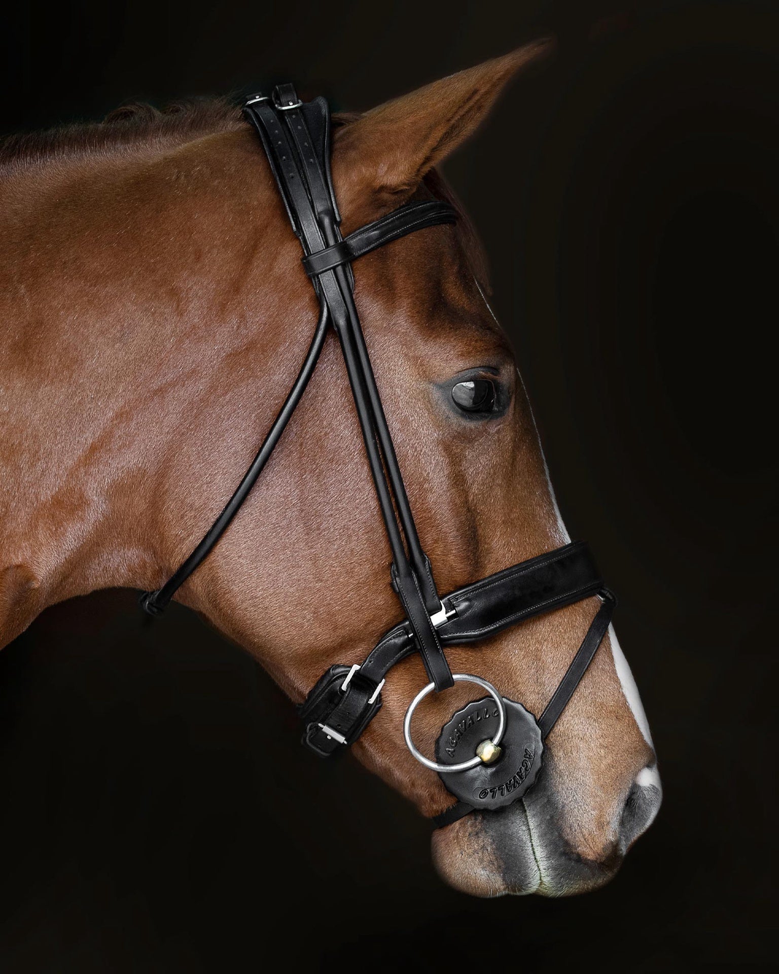 Acavallo Gel Bitringen Toebehoren bitten - Maddelin Equestrian Acavallo