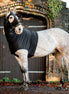 Horseware Rambo Slinky Hood