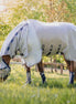 Horseware Rambo Protector Vliegendeken