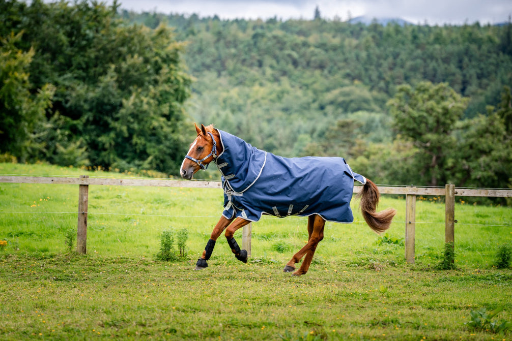 Horseware Amigo 1200D Plus Turnout bundel in Navy met Titanium, in de weide