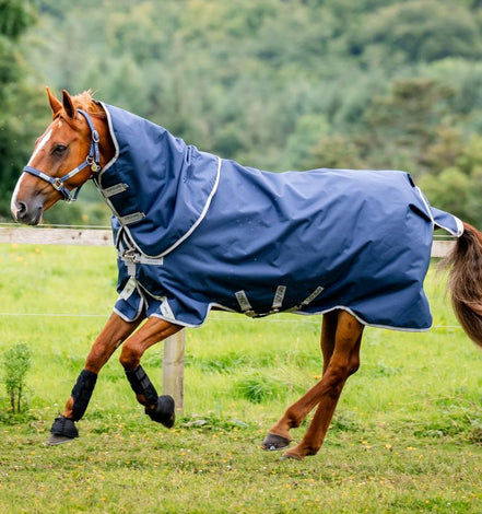 Amigo Bravo 12 plus bundle turnout (50g Outer with 100g Liner and 200g Liner) Outdoordeken - Maddelin Equestrian HorseWare