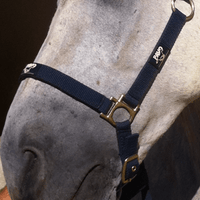 Animaderm Cutene 200ml Verzorgingsproducten - Maddelin Equestrian Animaderm