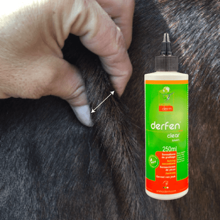Animaderm Derfen Clear Lotion – Verzacht & Beschermt Gevoelige Huid Vliegen & eczeem - Maddelin Equestrian Animaderm