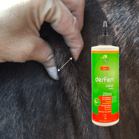 Animaderm Derfen Clear Lotion – Verzacht & Beschermt Gevoelige Huid Vliegen & eczeem - Maddelin Equestrian Animaderm