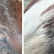 Animaderm Derfen Cream Clear Vliegen & eczeem - Maddelin Equestrian Animaderm
