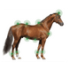 Animaderm Derfen Cream Clear Vliegen & eczeem - Maddelin Equestrian Animaderm